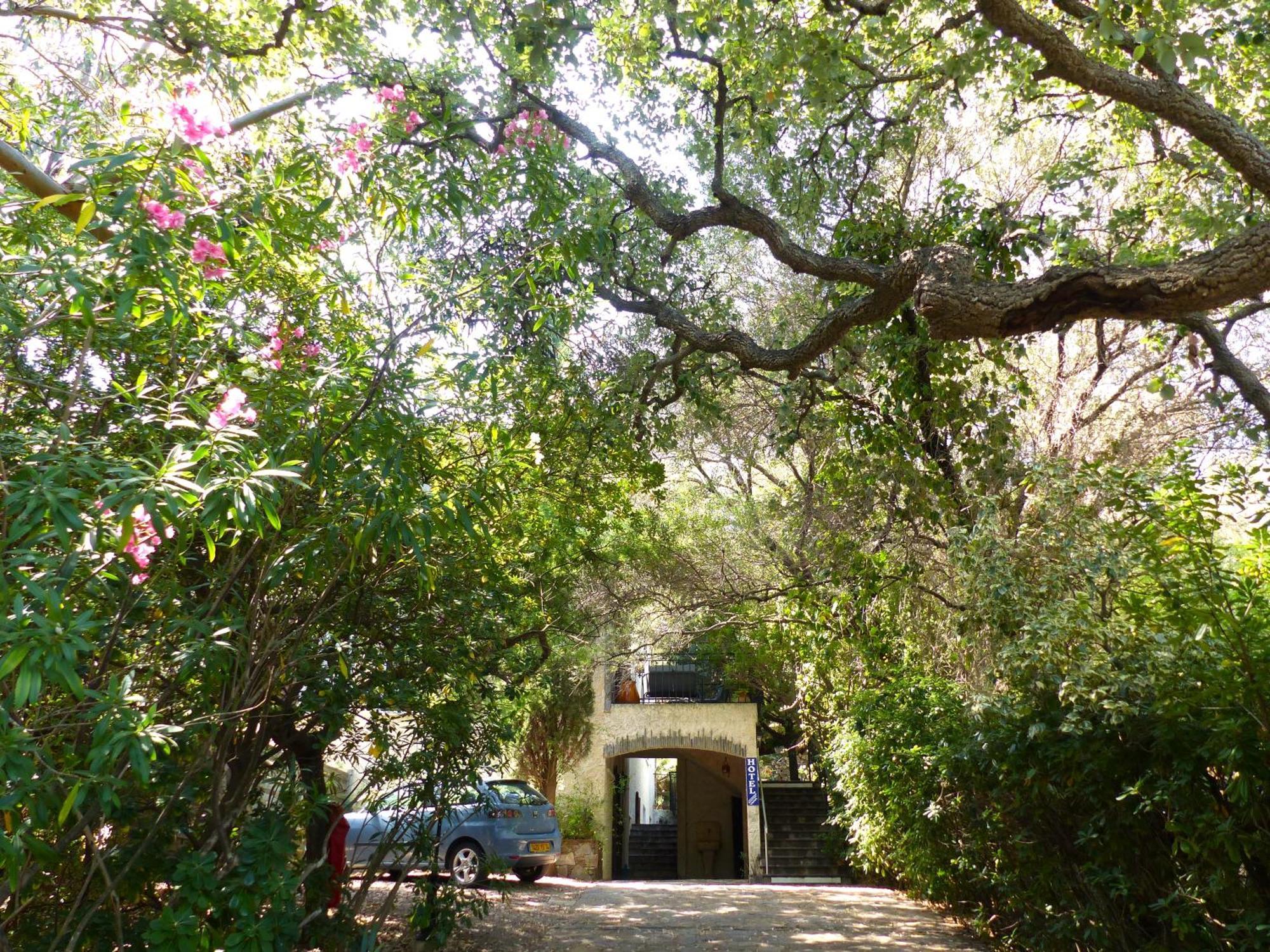 Hôtel Cap Soleil Cavalaire-sur-Mer Eksteriør billede